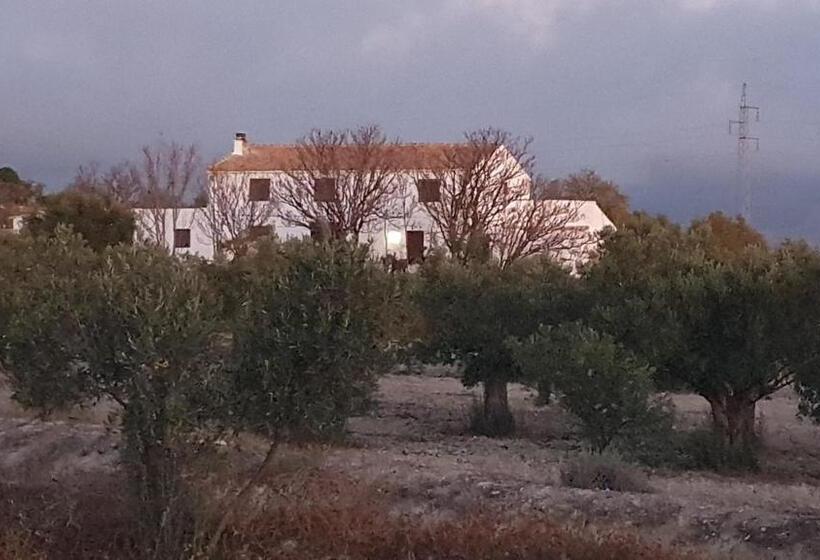 ベッドアンドブレックファースト Casa De La Familia   Casa Rural