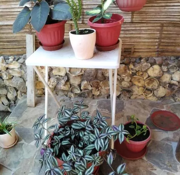 Aamiaismajoitus (B&B) Hospedajesperú