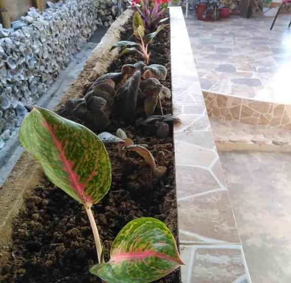 تختخواب و صبحانه Hospedajesperú