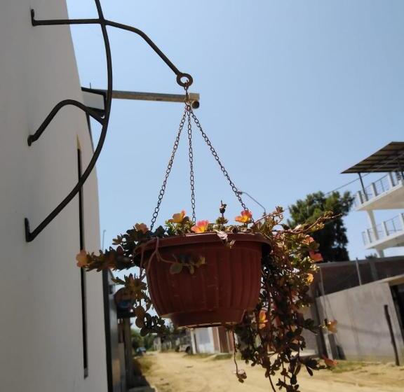 تختخواب و صبحانه Hospedajesperú