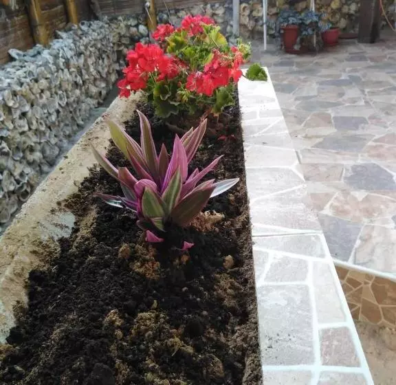 Aamiaismajoitus (B&B) Hospedajesperú