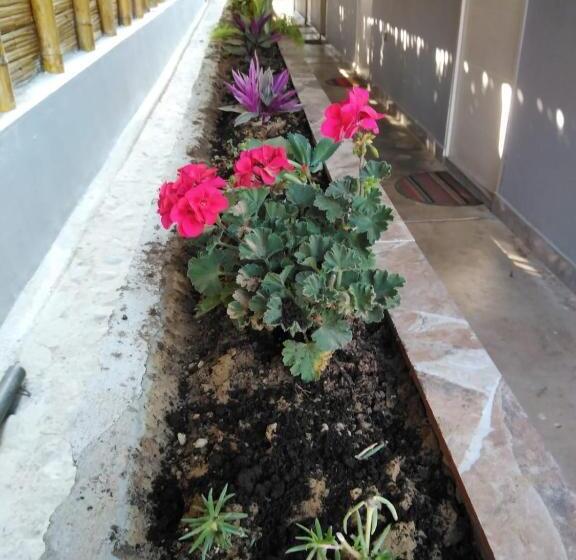 تختخواب و صبحانه Hospedajesperú