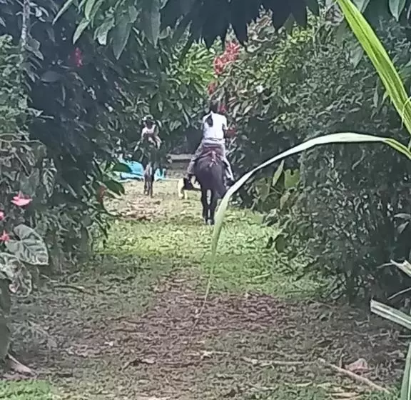 ホテル Finca La Esperanza