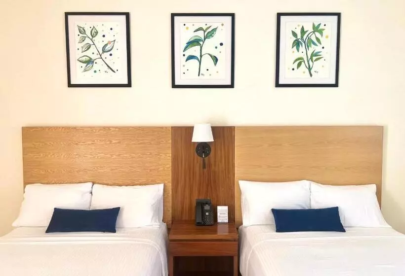 Hotelli Plaza Rioverde