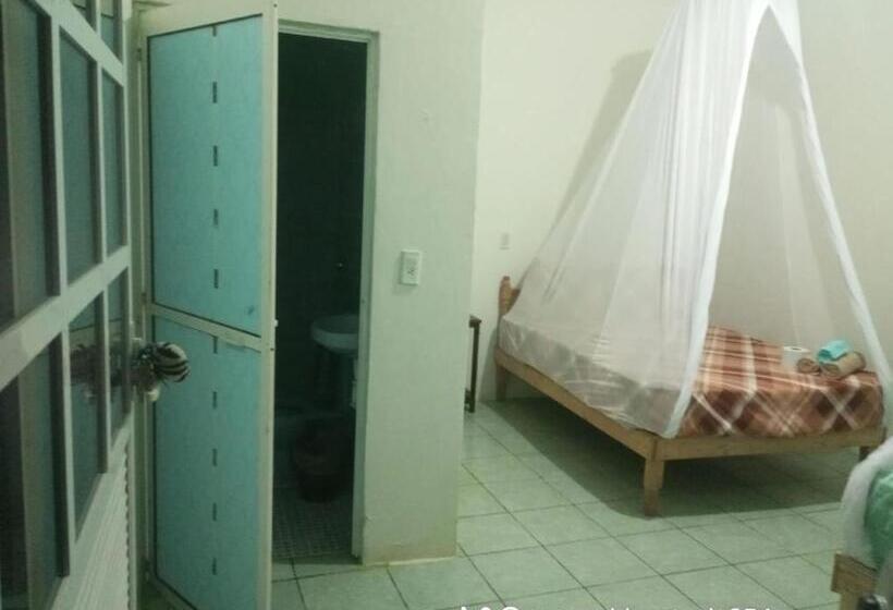 ペンション Hostal Casa Zeus