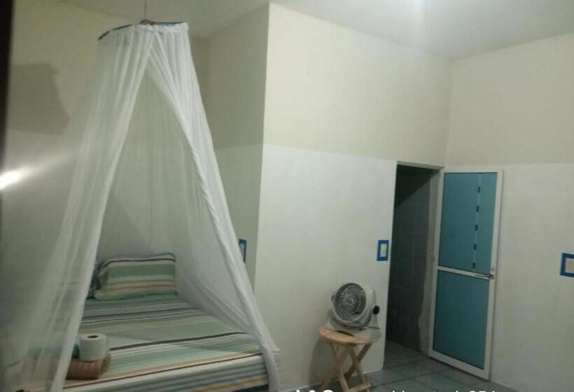 ペンション Hostal Casa Zeus