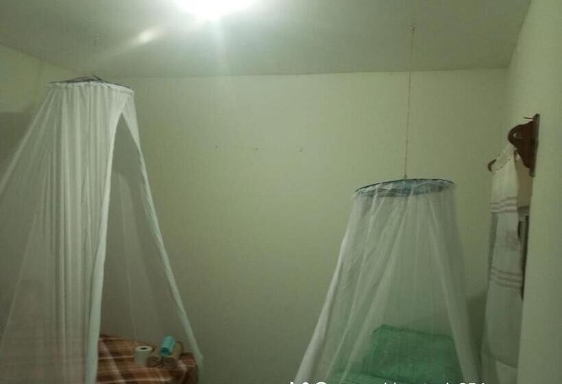 ペンション Hostal Casa Zeus