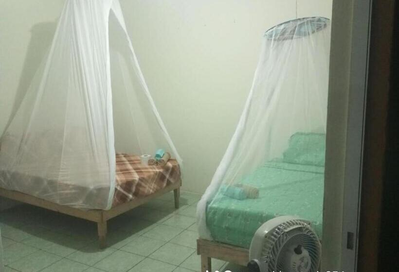 ペンション Hostal Casa Zeus