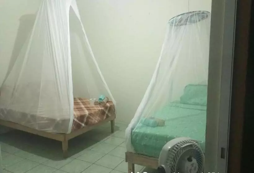 Majatalo Hostal Casa Zeus