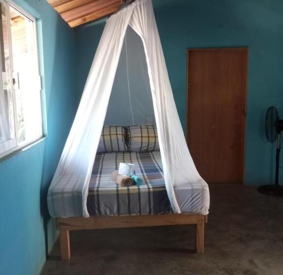 ペンション Hostal Casa Zeus