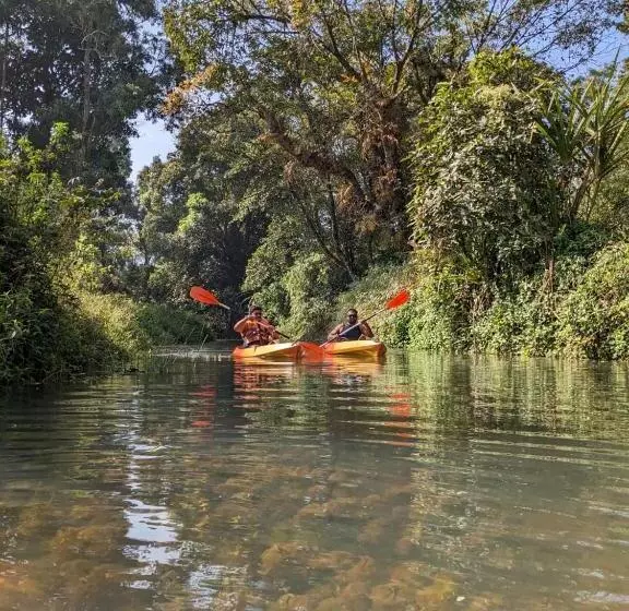 ペンション Nature Spot Cottages Coorg