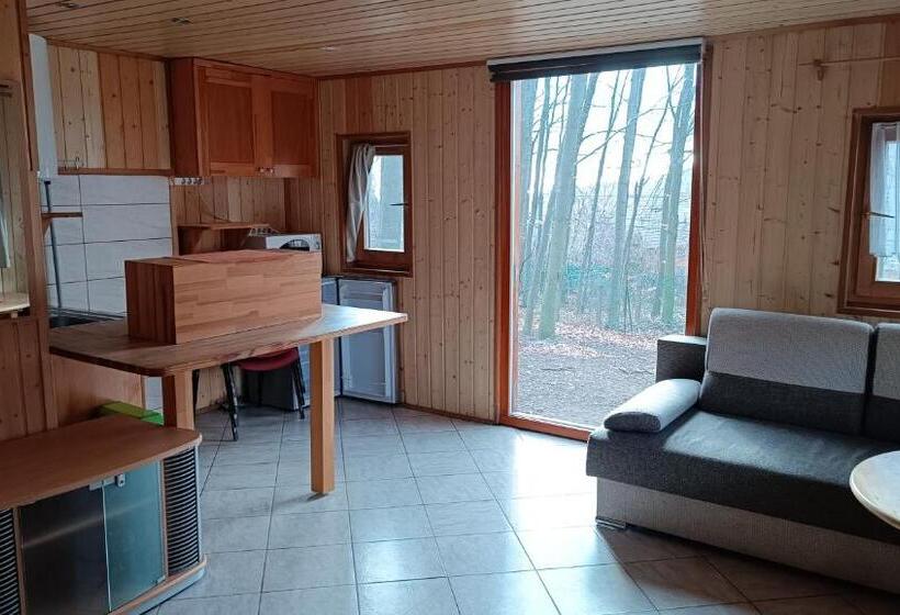 住宿加早餐  Darázshegyi Faház