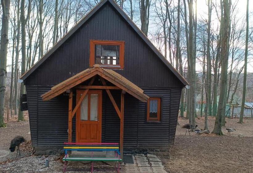 住宿加早餐  Darázshegyi Faház