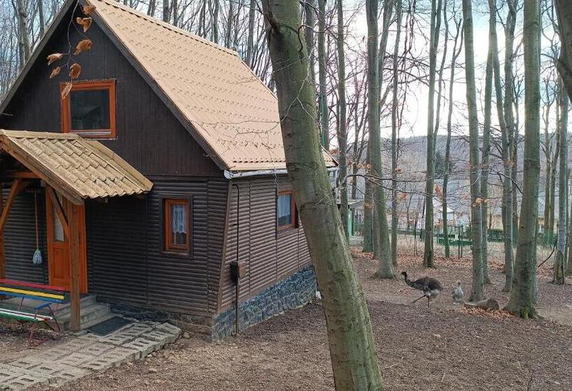 住宿加早餐  Darázshegyi Faház