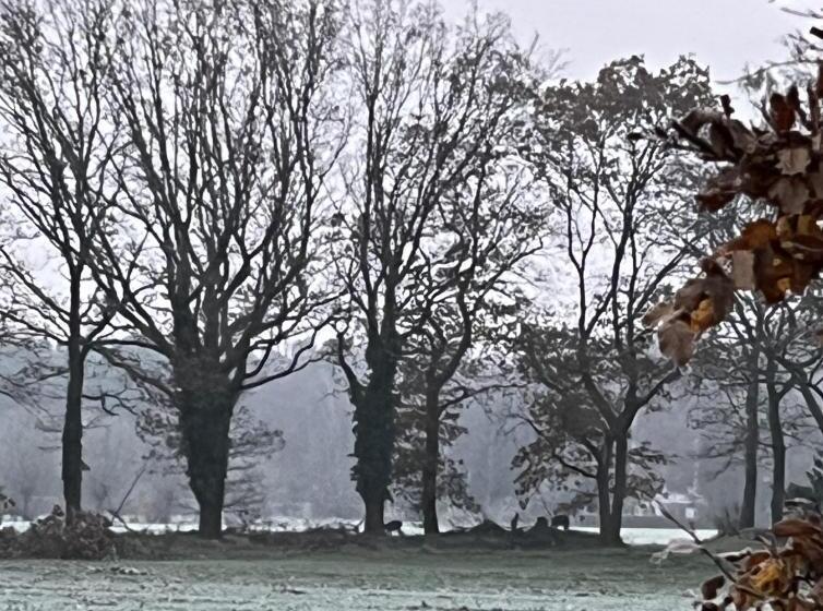 צימר Erve Zonnehoeve