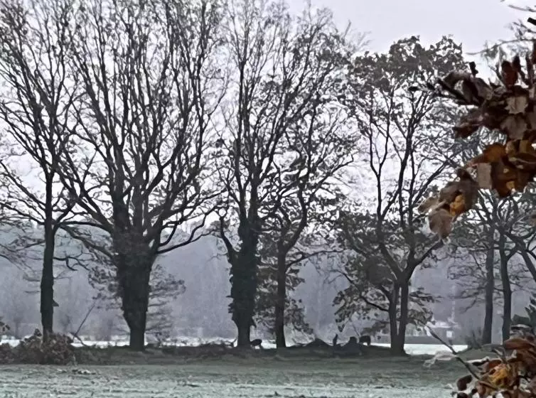 ベッドアンドブレックファースト Erve Zonnehoeve