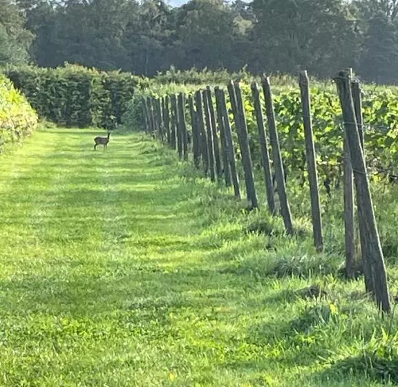 ベッドアンドブレックファースト Erve Zonnehoeve