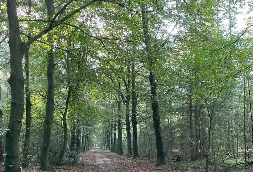 ベッドアンドブレックファースト Erve Zonnehoeve