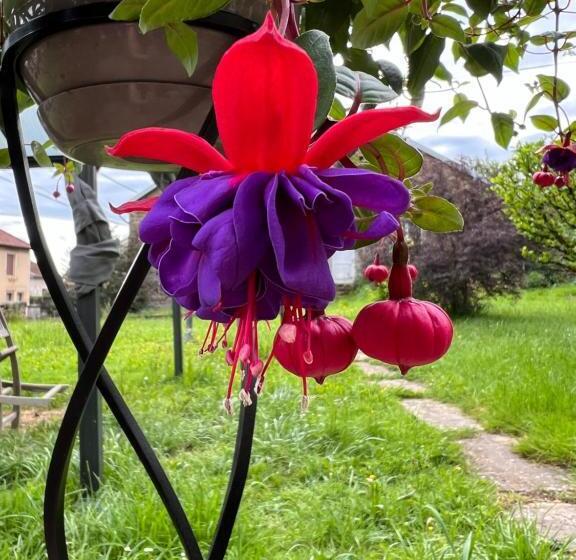 ベッドアンドブレックファースト La Bocquillonne