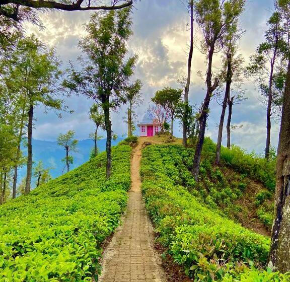 Hotel Mandaramnuwara Mandarama