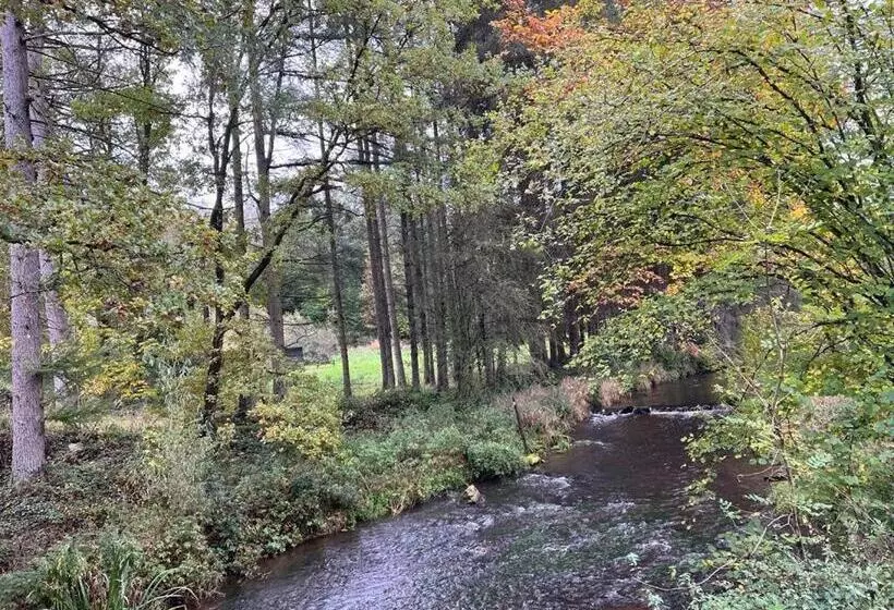 ベッドアンドブレックファースト Château De Porcheresse