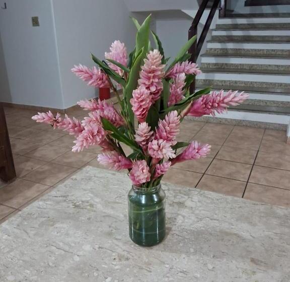 Otel Pousada Sol Da Lagoinha