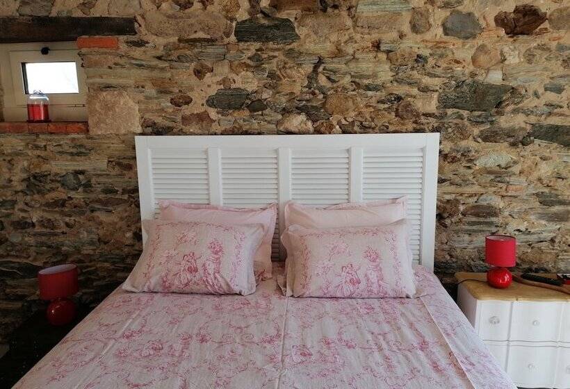 ベッドアンドブレックファースト Belge Attitude