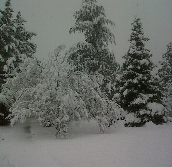 ベッドアンドブレックファースト Château De Rouffiac