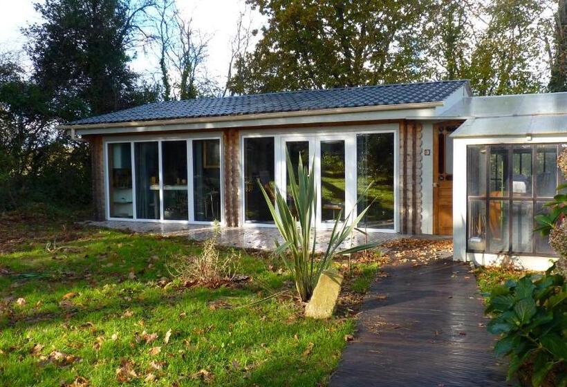 Bed and Breakfast La Maison Des Musiciens