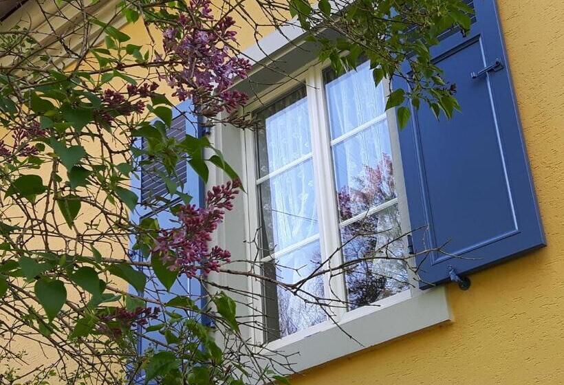 Bed and Breakfast Les Volets Bleus Alsace Vosges