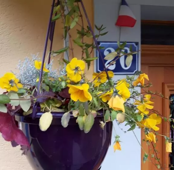Aamiaismajoitus (B&B) Les Volets Bleus Alsace Vosges
