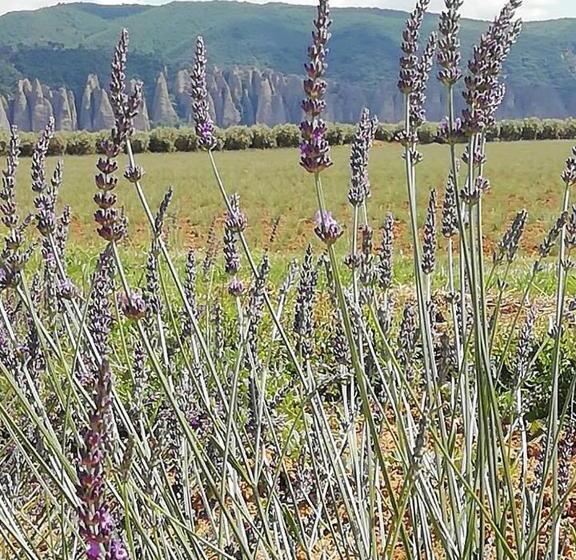 住宿加早餐  Maison D'hôtes Le Jas Vieux