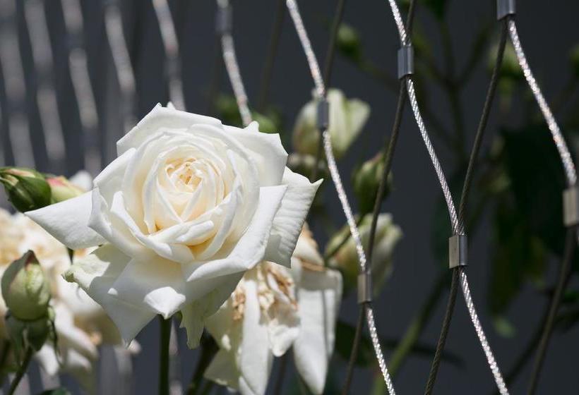 בית מלון כפרי Apart Rosengarten