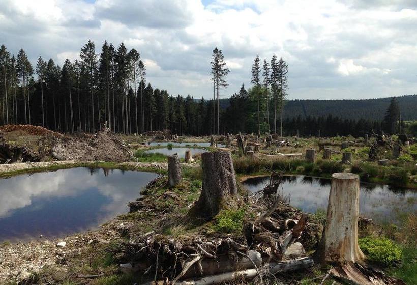 בית מלון כפרי Gasthof Zuck