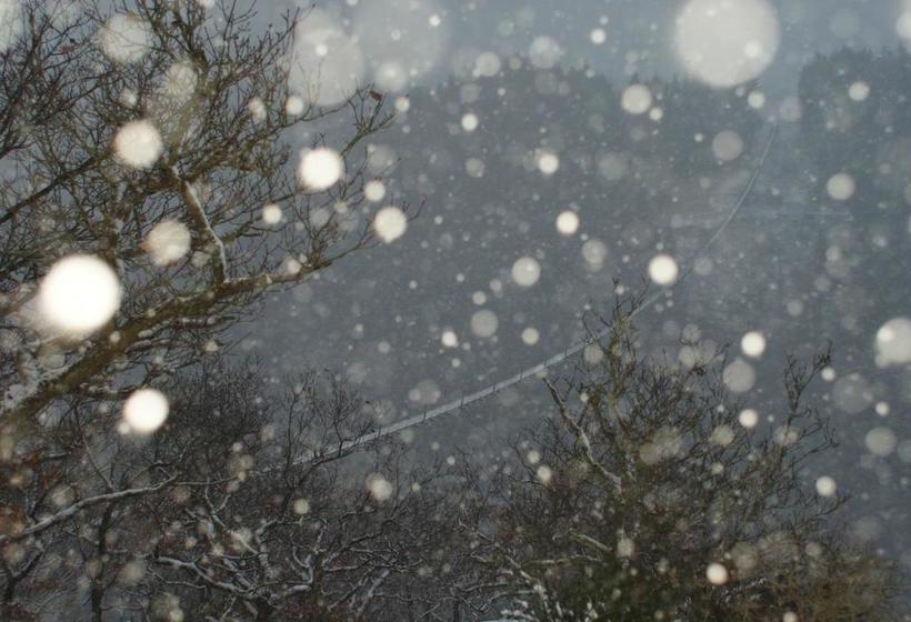 בית מלון כפרי Gasthof Zuck