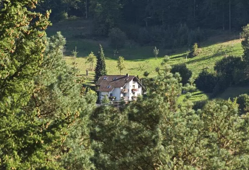 Hotelli Gästehaus Heller