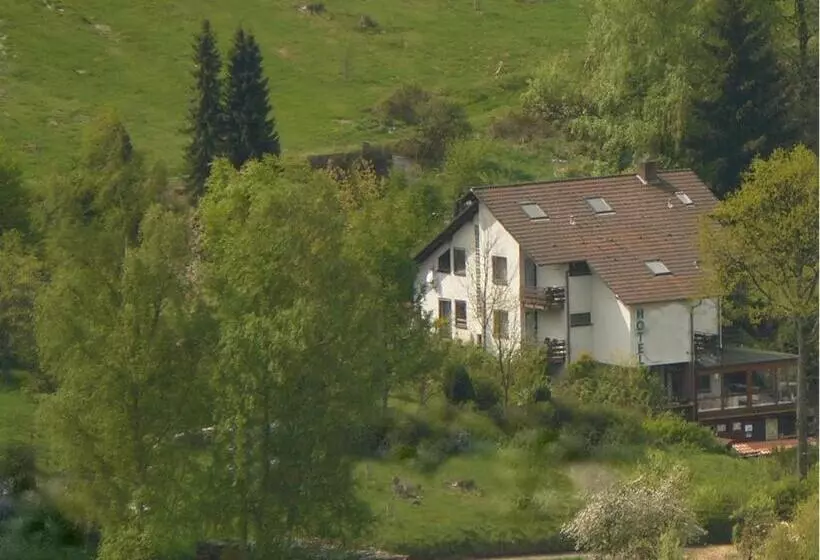 Hotelli Gästehaus Heller