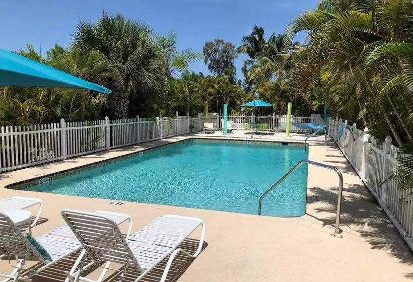 ホテル My Sarasota Getaway