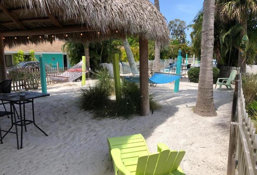 酒店 My Sarasota Getaway