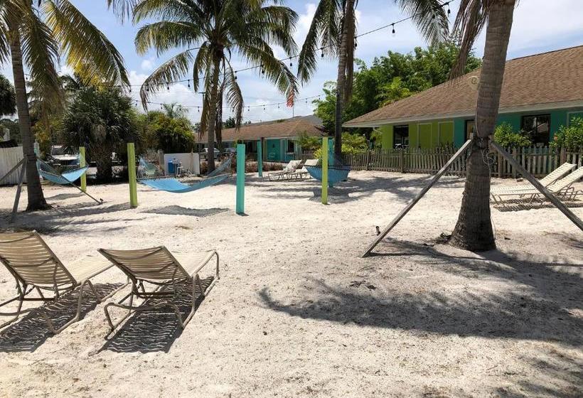 酒店 My Sarasota Getaway