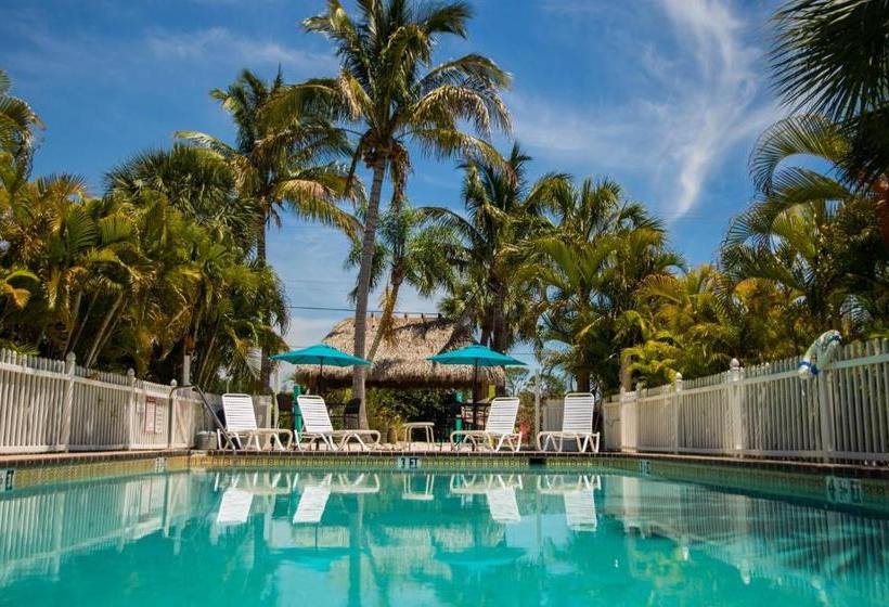 酒店 My Sarasota Getaway