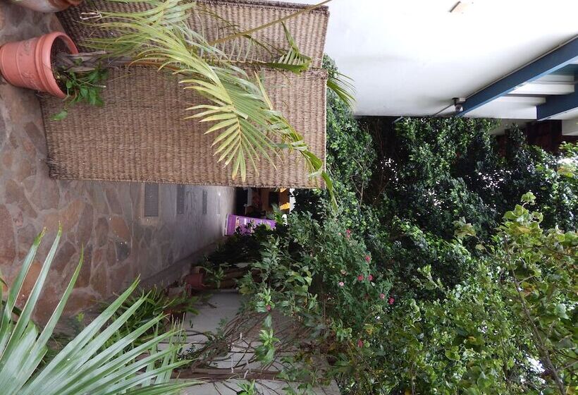 פנסיון Jacaranda Guesthouse