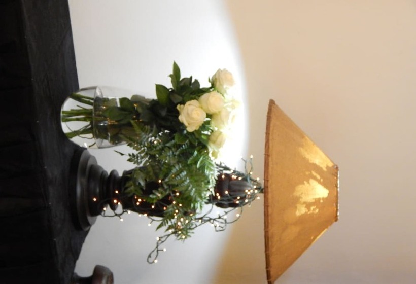 פנסיון Jacaranda Guesthouse