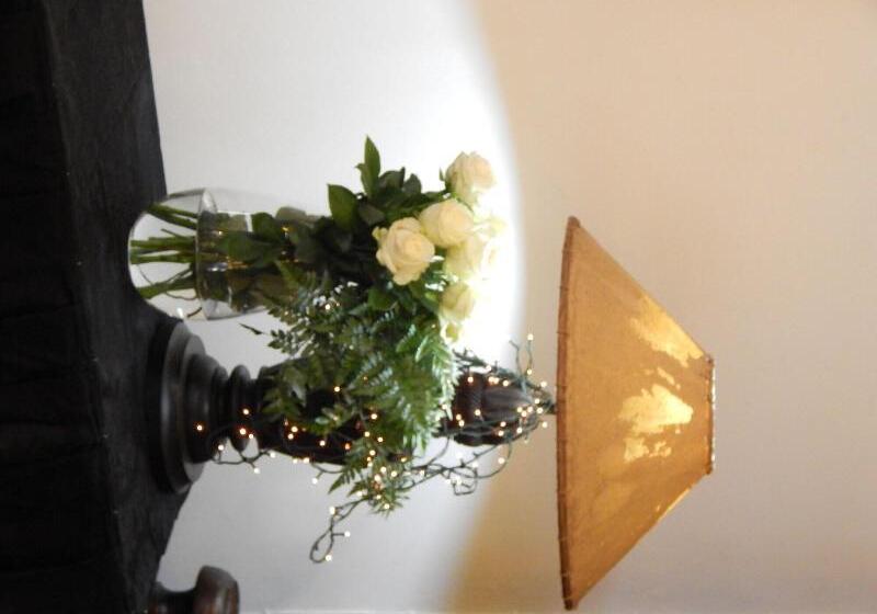 פנסיון Jacaranda Guesthouse