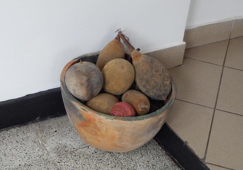 פנסיון Jacaranda Guesthouse