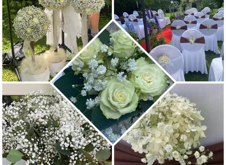 Schlossparkhotel Sallgast