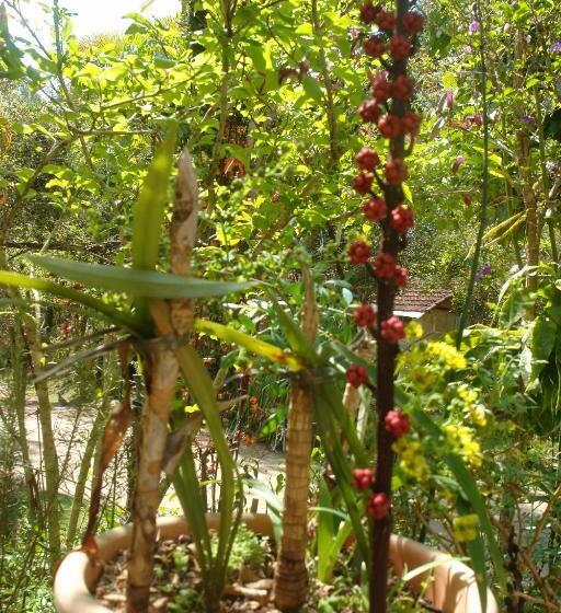 旅馆 Ecopousada João Y Maria