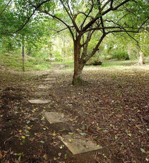 旅馆 Ecopousada João Y Maria