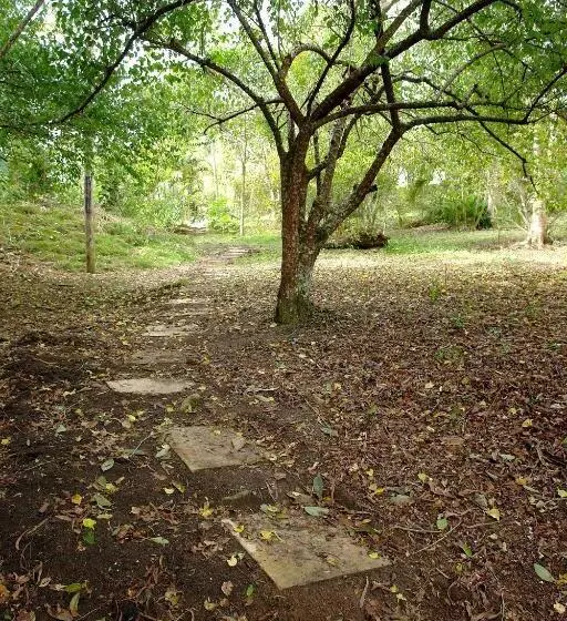 ユースホステル Ecopousada João Y Maria