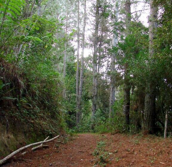 旅馆 Ecopousada João Y Maria